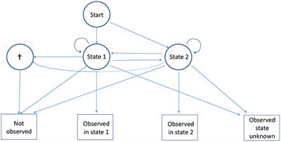 A Test for the Underlying State-Structure of Hidden Markov Models: Partially Observed Capture-Recapture Data
